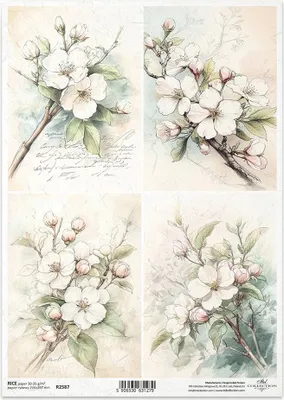 Produktbild von ITD Reispapier Decoupage Bastelpapier Serviettentechnik-R2587 Apfelblüten