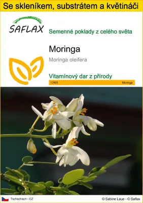 Obrázek produktu pro SAFLAX Kultivační sada - moringa - Moringa oleifera - 10 Semena - S mini skleníkem, pěstebním substrátem a 2 květináči