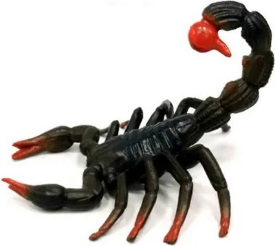 Image de A - Figurine scorpion 7 cm