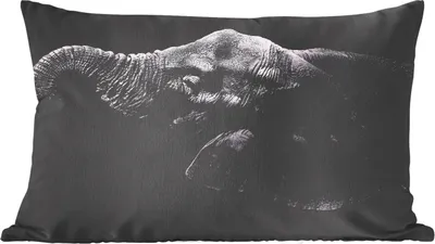 Produktbild von MuchoWow® Zierkissen Sofakissen Wohnzimmer Dekokissen 50x30 cm Elefant - Tiere - Schwarz - Natur - Wohnzimmerdekoration - Polster mit Photo