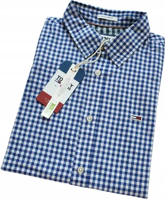 Produktbild von Tommy Hilfiger Jeans Herren Hemd Langarm Kariert Regular Fit DM0DM06556 Größe S