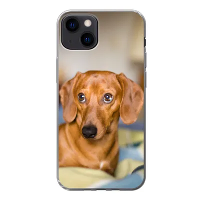 Produktbild von MuchoWow® Handyhülle Schutzhülle Hülle für iPhone 13 Dackel liegend auf einem Bett Silikon Softcase Handy Hülle - Karteninhaber