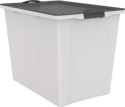 Produktbild von Rotho Aufbewahrungsbox Compact mit Deckel & Rollen 57 x 39,5 cm 70 L mistletoe weiß