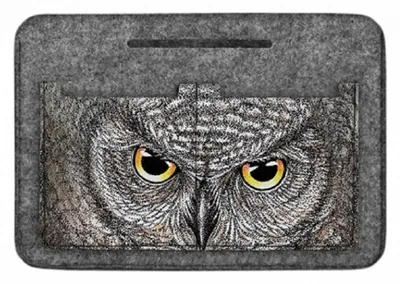 Produktbild von Taschenorganizer »Eule-E« OR19