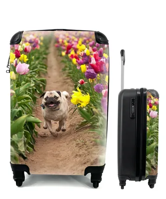 Produktbild von MuchoWow® Koffer Handgepäck Trolley Rollkoffer Kleine Reisekoffer mit 4 Rollen - Mops - Tulpen - Blumen - Cabin Size < 55x40x23 cm & 55x40x20 cm - Fotokoffer - Kabinenkoffer - Boardgepäck - Reise-Box - Reisekoffer - Reisegepäck - Koffer mit Bild - Trolley für Kinder