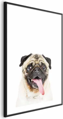 Produktbild von Posterpapier Poster - Pug 40x60 cm Für Kinder g-B-0098-ao-a