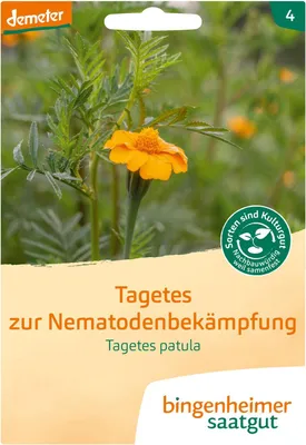 Artikelbild 2 von 'BIO Gründüngung Tagetes zur Nematodenbekämpfung'