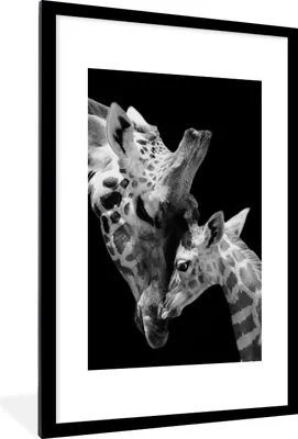 Produktbild von MuchoWow® Gerahmtes Poster Giraffe - Wildtiere - Porträt - Schwarz-Weiß 60x90 cm - Poster mit Schwarzem Bilderrahmen Wandposter Rahmen Foto Bilder - Dekoration - Wandposter Wohnzimmer - Hochwertig