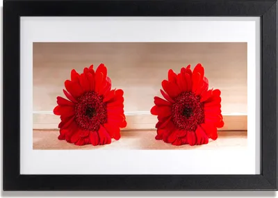 Produktbild von Bild 30x20 MDF-Rahmen Wandkunst Blumen Pflanzen