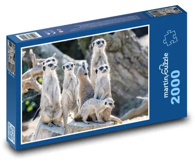Zdjęcie produktu dla martinpuzzle - Puzzle 2000 - Surikaty