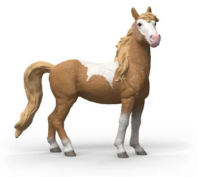 Zdjęcie produktu dla schleich 14920, 5 lat(a), Wielobarwny, Plastik