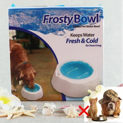 Image de Cool écuelle pour chiens écuelle pour chats récipient de glace été animal de compagnie écuelle d'eau avec refroidissement