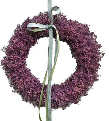 Produktbild von Trockenkranz Dekokranz Gypsophilia pink D. 30cm CreaFlor Home