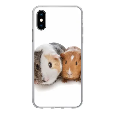 Produktbild von MuchoWow® Handyhülle Schutzhülle Hülle für iPhone X Fünf Meerschweinchen Silikon Softcase Handy Hülle - Handyhülle