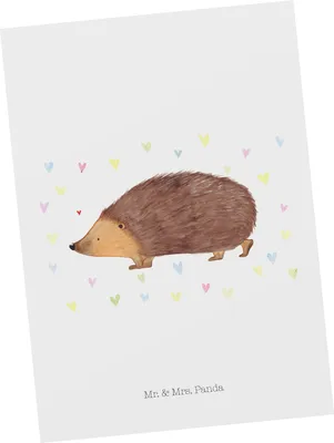 Produktbild von Mr. & Mrs. Panda Postkarte Igel Herzen - Weiß - Geschenk, Postkarten, Grußkarte, Lustige Sprüche, Fotokarte, einzelkarte, Liebe, Vertrauen, Leben, Herz, Ansichtskarte