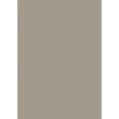 Image de BRUNNEN 105123585 Papier multifonctionnel Papier universel A4 taupe