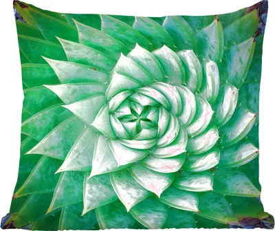 Produktbild von MuchoWow® Zierkissen Sofakissen Wohnzimmer Dekokissen 40x40 cm Spirale Fettfabrik - Foto Kissen - Schlafzimmer Dekoration