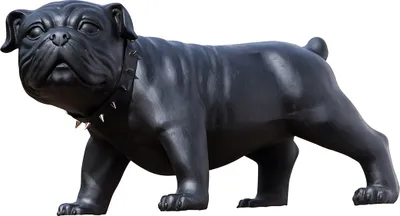 Produktbild von Casablanca by Gilde Dekofigur Hund Bulldogge Bobby  H. 38,5 cm,52171