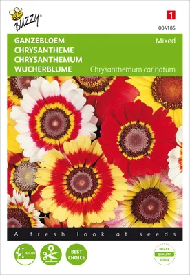 Produktbild von Wucherblume Mischung | Blumensamen von Buzzy Seeds