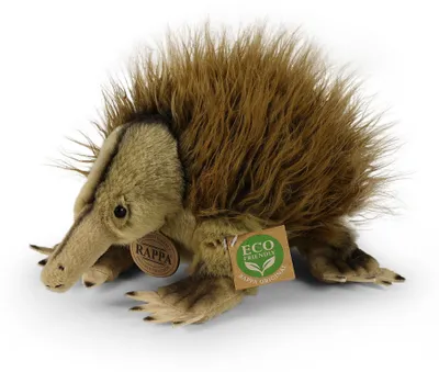 Immagine prodotto di Peluche Echidna 24 Cm Ecologico