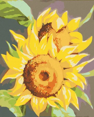 Produktbild von Zuty - Malen nach Zahlen - SONNENBLUME 2 (MYROSLAVA VOLOSCHUK), 40x50 cm, mit Keilrahmen (bereits gespannt)