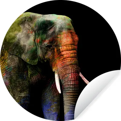 Produktbild von MuchoWow® Runde Wandtattoo - Wandsticker Tapete Aufkleber Elefant - Farben - Tier Ø 80 cm Selbstklebend und Repositionierbar - Wandaufkleber - Kreis - Mauerkreis - Wand Bilder - Wandsticker - Wohnzimmer Dekoration - Dekoration für die Wände - Aluminium - Babyzimmer
