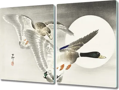 Produktbild von Coloray Herdabdeckplatte 2x40x52 cm Schneidebrett Kochplattenabdeckung Küchenbrett Hackbrett - Tiere Vögel Enten