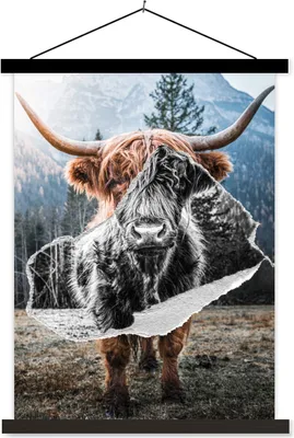 Produktbild von MuchoWow® Textilposter Schottisches Hochlandrind - Tiere - Schwarz - Weiß 60x80 cm mit schwarzem Rahmen - Plakathalter