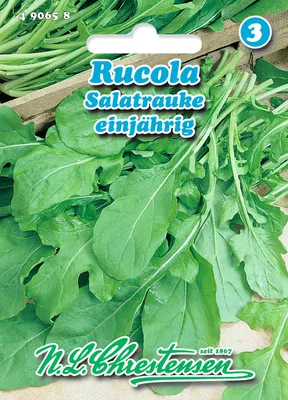Produktbild von Rucola Salatrauke | Rucola- / Raukesamen von N.L. Chrestensen