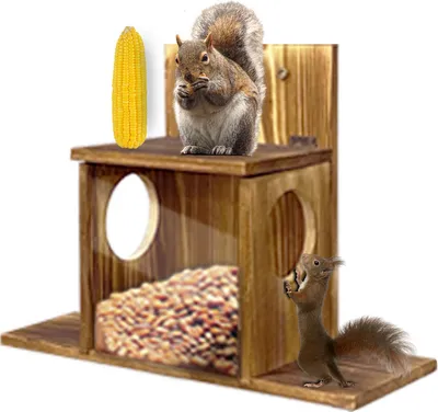 Produktbild von WISFOR Eichhörnchen Futterhaus, mit transparenten Acryloberfläche, Holz Futterstation Futterhäuschen für Eichhörnchen, Typ -2