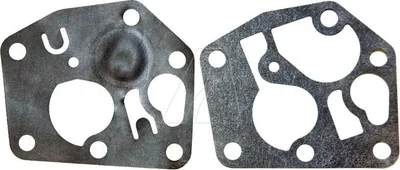 Image de Membrane compatible pour moteur Briggs & Stratton
