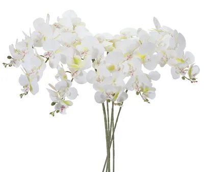 Künstliche Orchideenstiele, 6er-Set, 105 cm, 9 Köpfe, Weiß