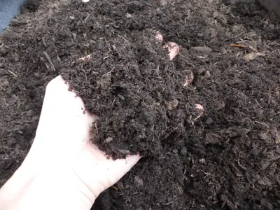 Produktbild von 1 Palette 48 Sack á 40L mediterrane Pflanzerde | Premiumerde | Gartenerde | Erde