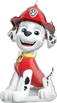 Produktbild von Folienballon Marshall Paw Patrol 53 cm -