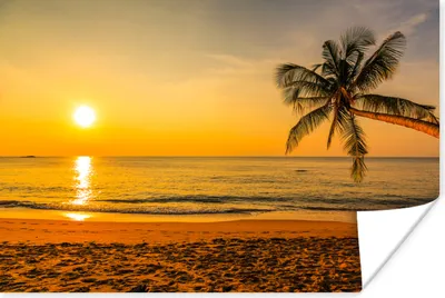 Produktbild von MuchoWow® Poster Palme - Strand - Sonnenuntergang - Meer 90x60 cm - Schlafzimmer
