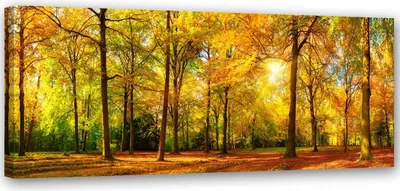 Immagine prodotto di Quadro su tela Bosco dorato 1 pezzo 150x50 cm Feeby giallo quadro da parete pronto per essere appeso