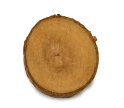 Produktbild von Papageien Holzscheibe 1-3 cm - DIY Spielzeug für alle Papageienarten