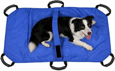 Image de Sac de transport pliable pour chiens jusqu'à 55 kg, avec 6 poignées, pour un transport sûr chez le vétérinaire