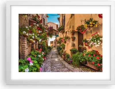 Produktbild von Gerahmtes Poster - Weißer Rahmen - Path Blumen Haus Hof - 40x30 cm - Wand Bild - Wanddeko - Wandbilder - Kunstposter - Wandposter - Bilderrahmen - Bilder - Kunstdruck - Wandbild - P2WAA40x30-3183