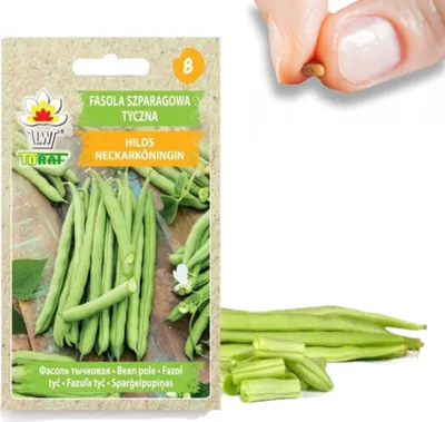 Image de Toraf Graines de légumes Haricots Tic Hilds, paquet de 10g