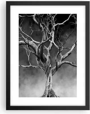 Produktbild von Gerahmtes Poster - Schwarzer Rahmen - Schwarzweiß Äste Rauch - 30x40 cm - Wand Bild - Wanddeko - Wandbilder - Kunstposter - Wandposter - Bilderrahmen - Bilder - Kunstdruck - Wandbild - P2BPA30x40-4346