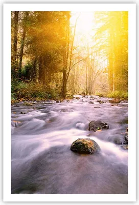 Produktbild von Poster - Poster ohne Rahmen - Herbst Wald Berg Fluss - 61x91,5 cm - Wand Bild - Wanddeko - Wandbilder - Kunstposter - Wandposter - Bilder - Kunstdruck - Wanddekoration - Wandbild - P2XPA61x91-0504