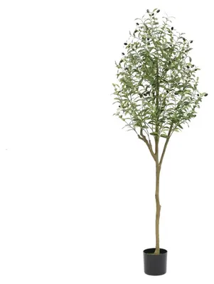 Produktbild von Künstlicher Olivenbaum - Große Kunstpflanze 180 cm - Realistische Blätter - Plastikbaum im Topf - Bodenpflanze für Wohnzimmer Schlafzimmer Büro