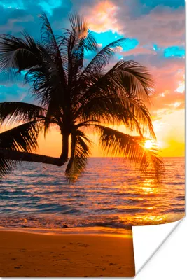Produktbild von MuchoWow® Poster Palme - Sonnenuntergang - Horizont - Strand - Meer - Tropisch 20x30 cm - Papierdruck