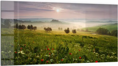 Produktbild von DEQORI Küchenrückwand Glas 100x50 cm 'Idyllisches Morgenlicht' Spritzschutz Bad Rückwand Küche