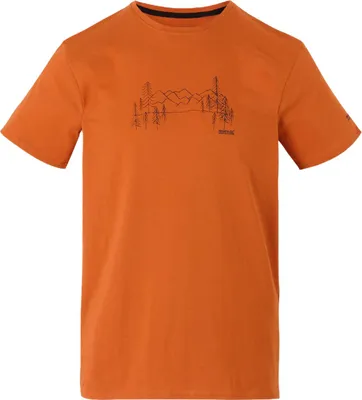 Productafbeelding van REGATTA Heren functioneel shirt Breezed V