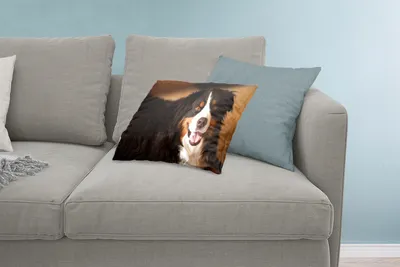 Produktbild von MuchoWow® Zierkissen Sofakissen Wohnzimmer Dekokissen 60x40 cm Berner Sennenhund schaut in die Kamera - Kopfkissen - Polster mit Foto