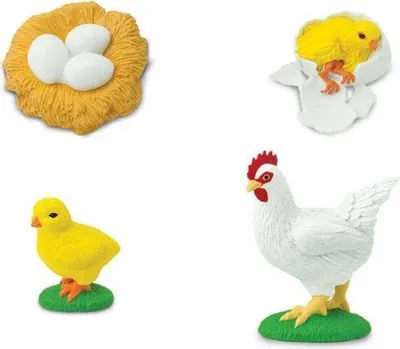 Produktbild von Safari S662816 - Lebenszyklus eines Huhn