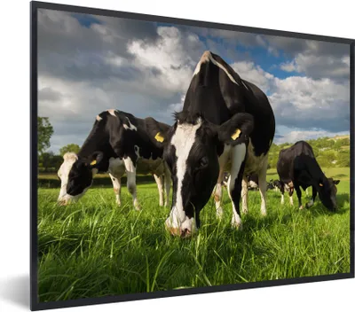 Produktbild von MuchoWow® MuchoWow® Gerahmtes Poster Kuh - Natur - Gras - Tiere 40x30 cm - Poster mit zchwarzem Bilderrahmen - Kunstposter - Wanddekorationen