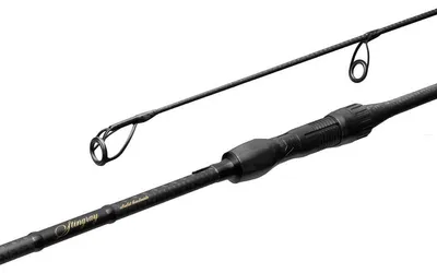 Produktbild von DELPHIN StingRAY, 3m, 9,84ft, 3lbs, 2 Teile, Karpfen Angelrute, 101006681